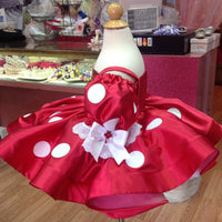 Vestido rojo de Minnie Mouse, vestido de primer cumpleaños de Minnie Mouse, vestido rojo de Minnie Mouse